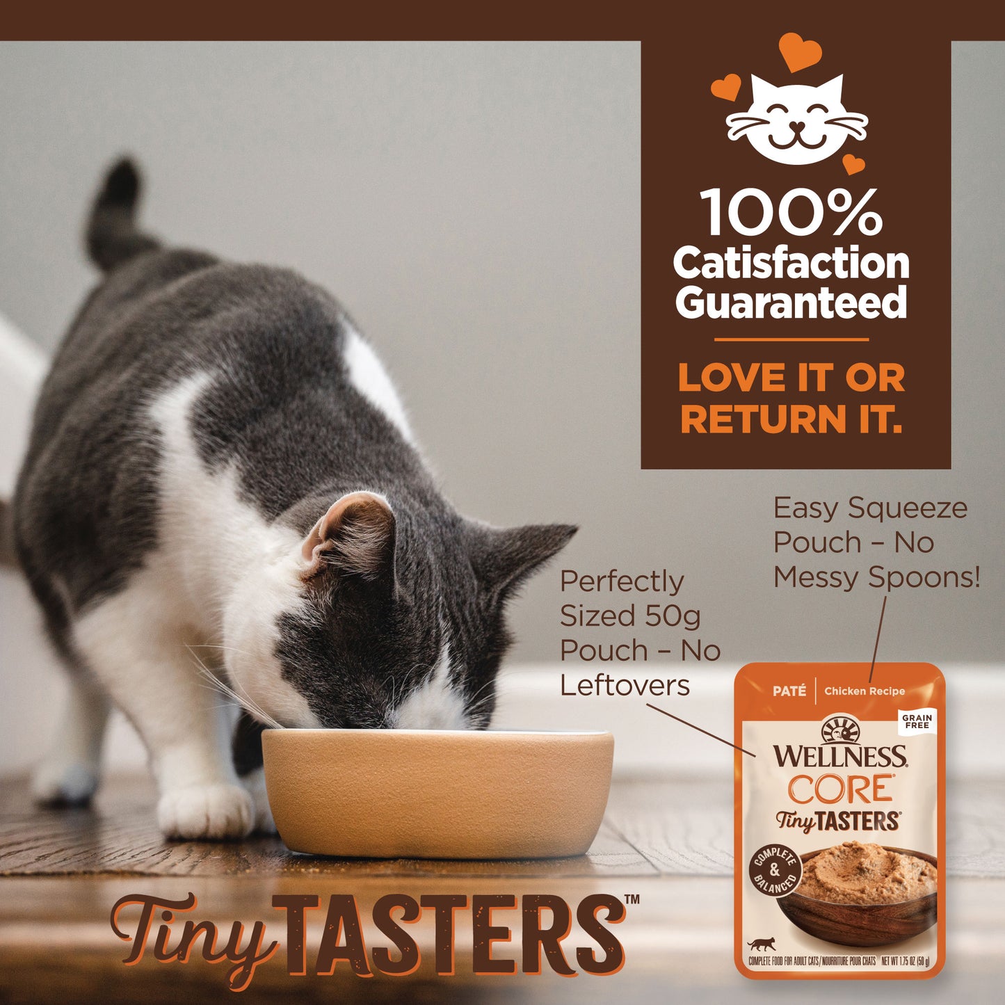 Box of 12 Wellness Cat T/T Land Variety 50G