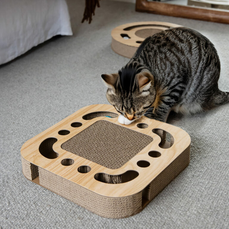 Superior 2 in 1 Cat Fun Centre Square