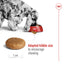 Royal Canin Dog Medium Breed Adult 15kg
