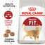 Royal Canin Cat Fit 2kg