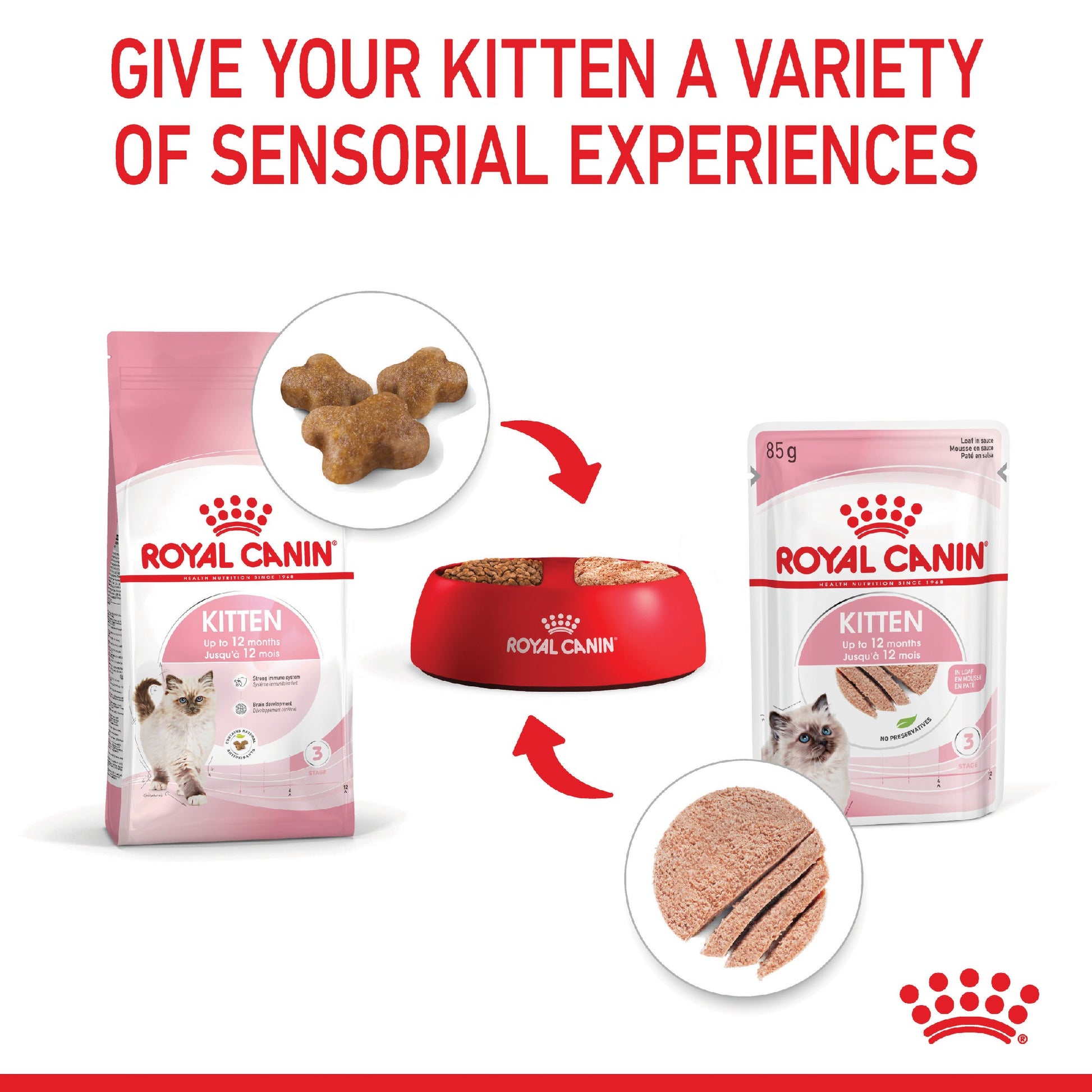 Royal Canin Cat Kitten 2kg