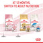 Royal Canin Cat Kitten 2kg