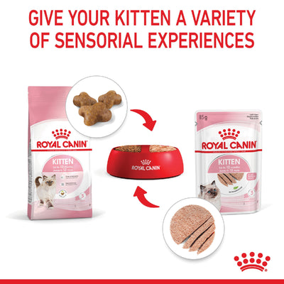 Royal Canin Cat Kitten 4kg