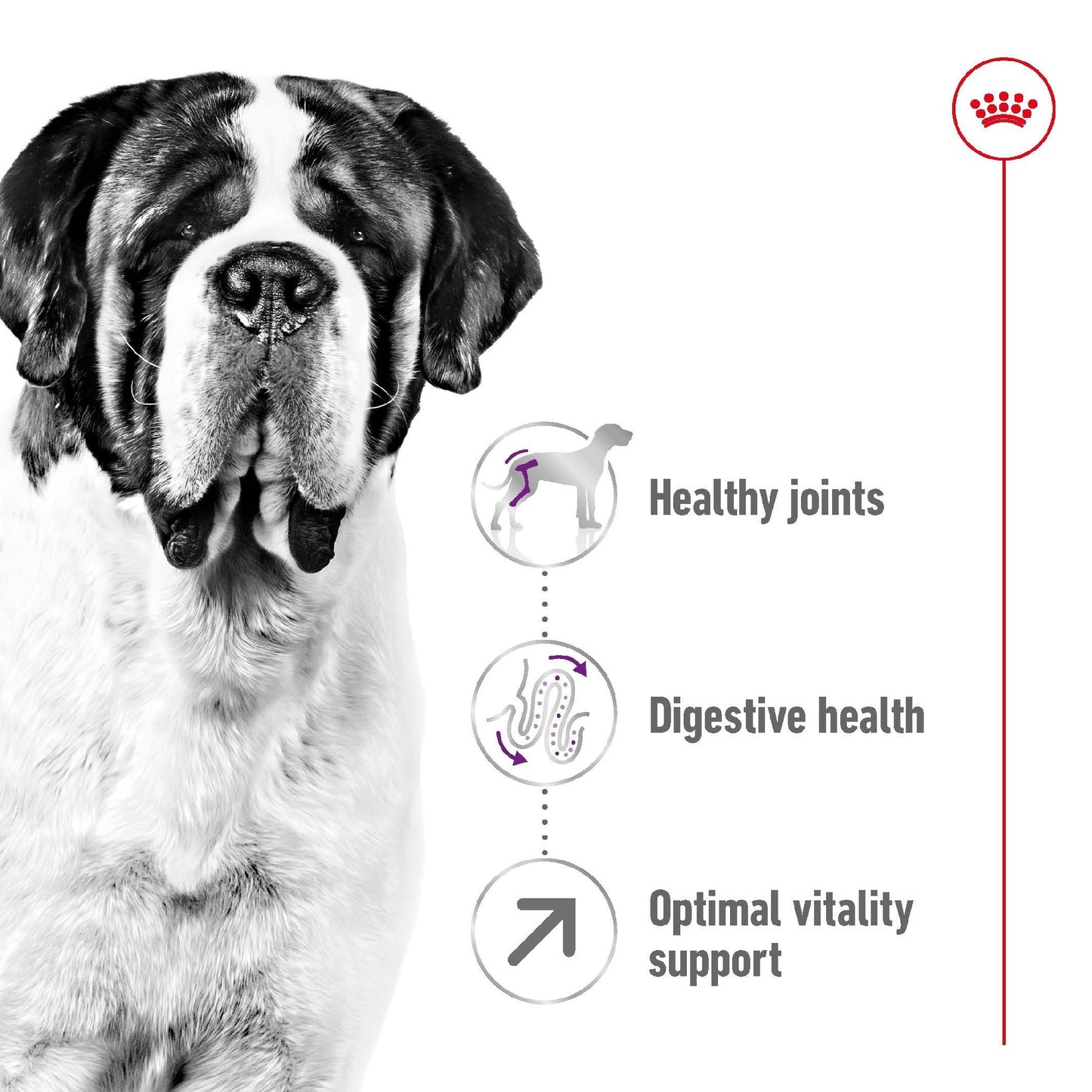 Royal Canin Dog Giant Adult 15kg 