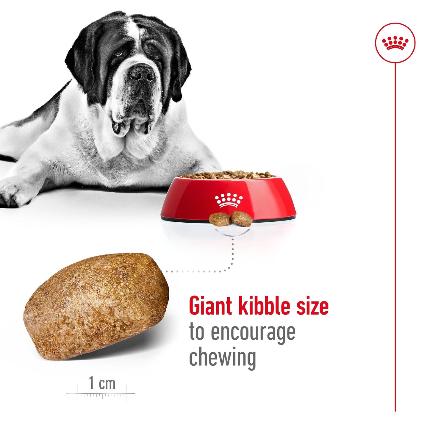 Royal Canin Dog Giant Adult 15kg 
