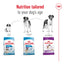 Royal Canin Dog Giant Adult 15kg 