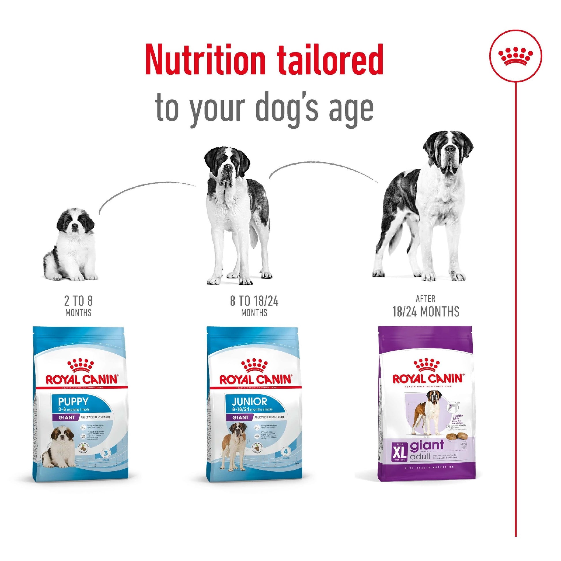 Royal Canin Dog Giant Adult 15kg 
