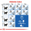 Royal Canin Cat Indoor 2kg