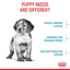 Royal Canin Dog Medium Puppy 4kg