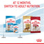 Royal Canin Dog Medium Puppy 4kg
