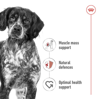 Royal Canin Dog Medium Adult 4kg