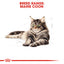 Royal Canin Cat Maine Coon 10kg