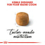 Royal Canin Cat Maine Coon 10kg