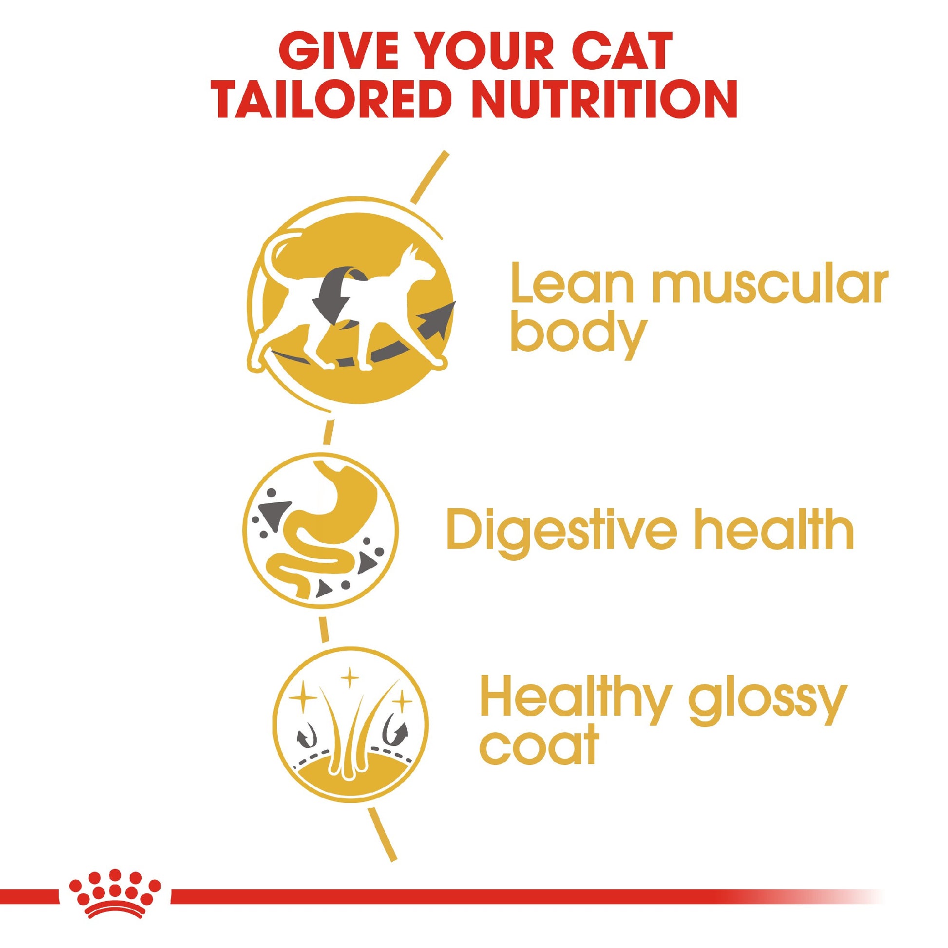 Royal Canin Cat Siamese 2kg