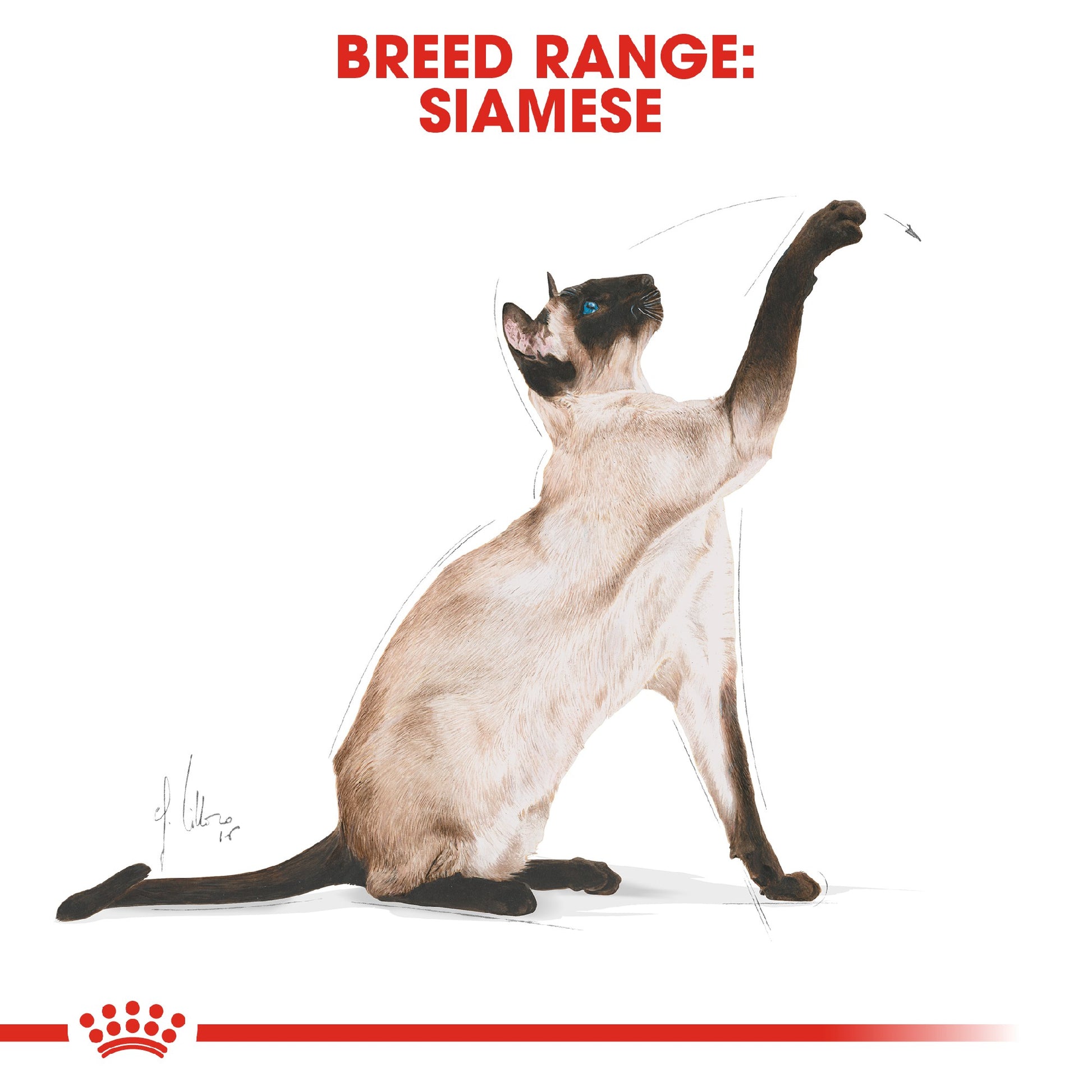 Royal Canin Cat Siamese 2kg