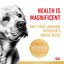Royal Canin Dog Labrador Adult 12kg
