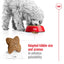 Royal Canin Dog Mini Adult 8kg