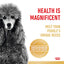 Royal Canin Dog Adult Poodle 7.5kg