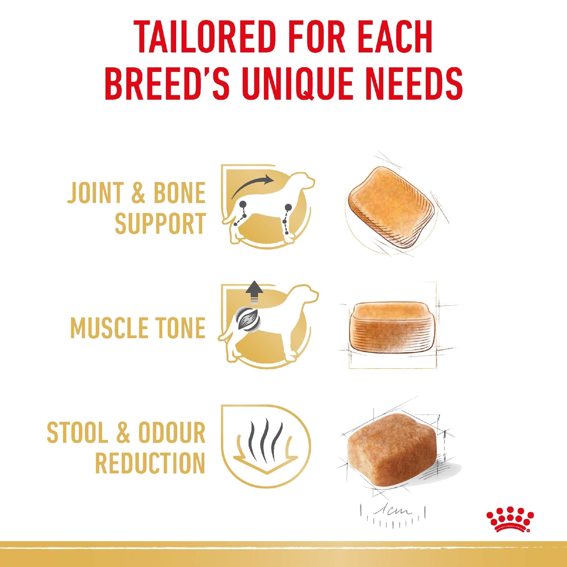 Royal Canin Dog Dachshund Adult 1.5kg