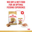 Royal Canin Dog Dachshund Adult 1.5kg