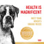 Royal Canin Dog Adult Boxer 12kg 
