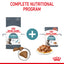 Royal Canin Cat Intense Hairball 4kg