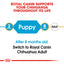 Royal Canin Dog Puppy Chihuahua 1.5kg