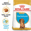 Royal Canin Dog Dachshund Puppy 1.5kg