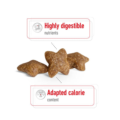 Royal Canin Dog Mini Adult 4kg