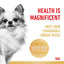 Royal Canin Dog Adult Chihuahua 1.5kg