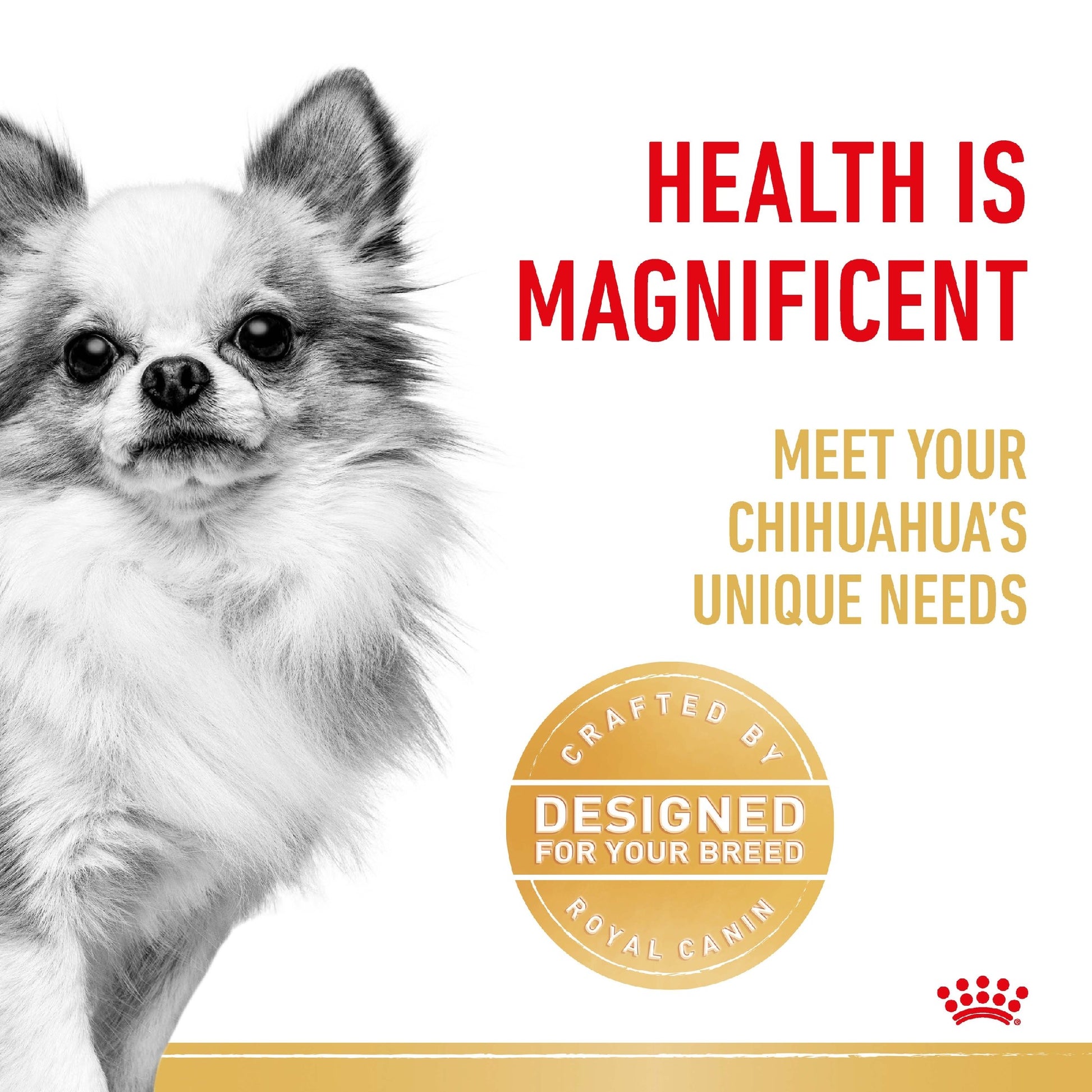 Royal Canin Dog Adult Chihuahua 1.5kg