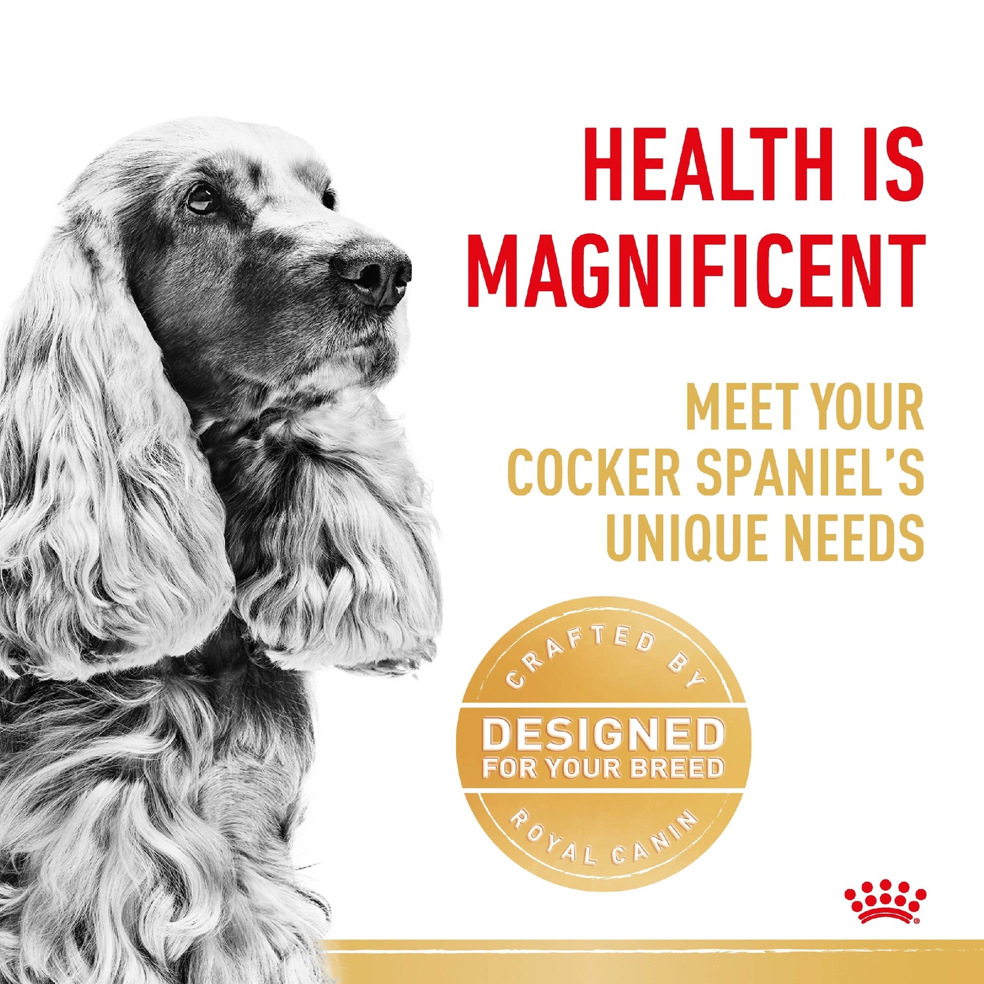 Royal Canin Dog Cocker Spaniel 3kg