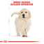 Royal Canin Dog Golden Retriever Puppy 12kg