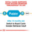 Royal Canin Dog Golden Retriever Puppy 12kg