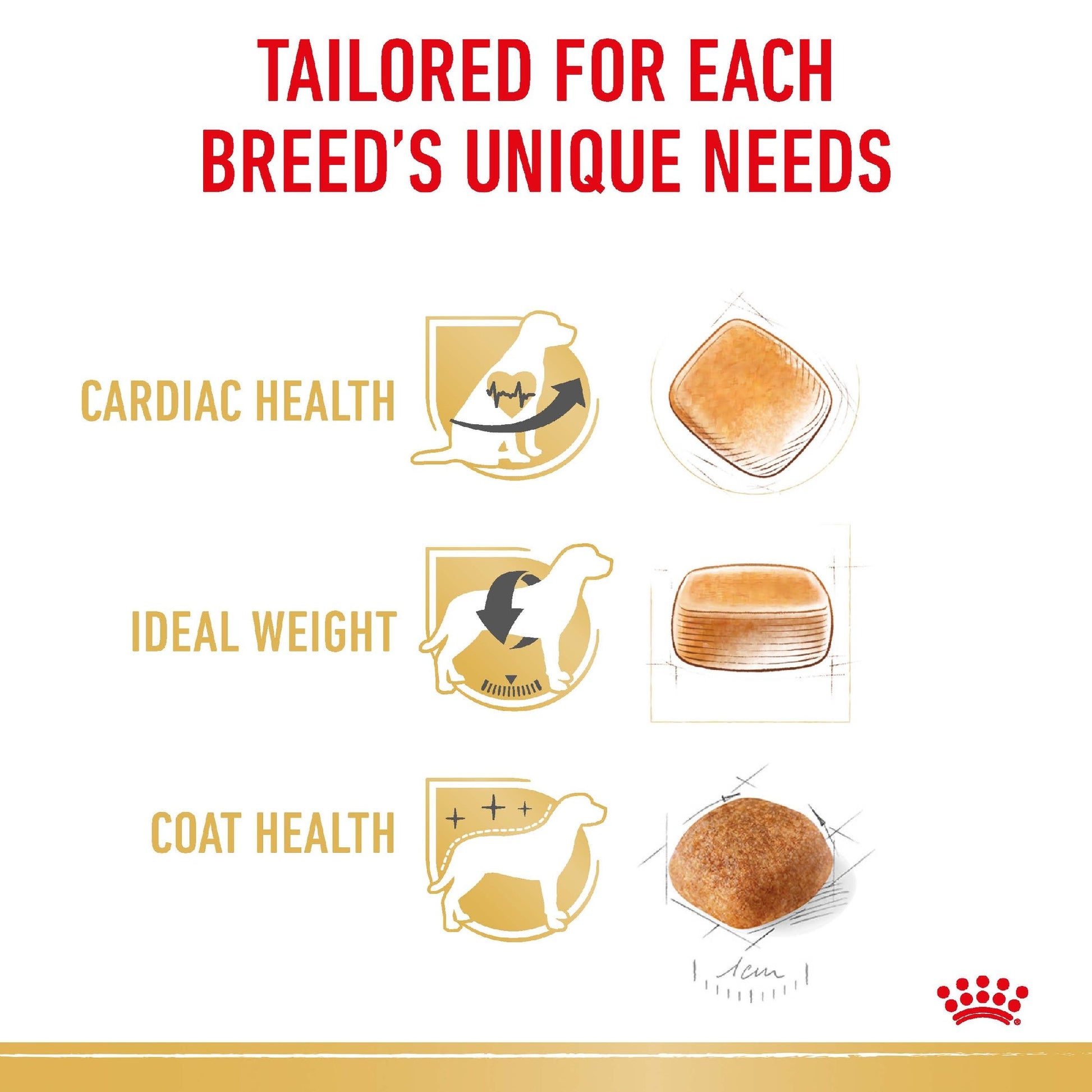 Royal Canin Dog Cavalier Adult 7.5 kg