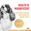 Royal Canin Dog Cavalier Adult 3kg