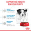 Royal Canin Dog Mini Puppy 8kg