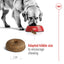 Royal Canin Dog Maxi 8+ 15kg 