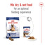 Royal Canin Dog Maxi 8+ 15kg 