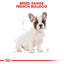 Royal Canin Dog French Bulldog Puppy 3kg