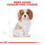 Royal Canin Dog Cavalier King Charles Puppy 1.5kg