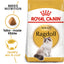 Royal Canin Cat Ragdoll 2kg