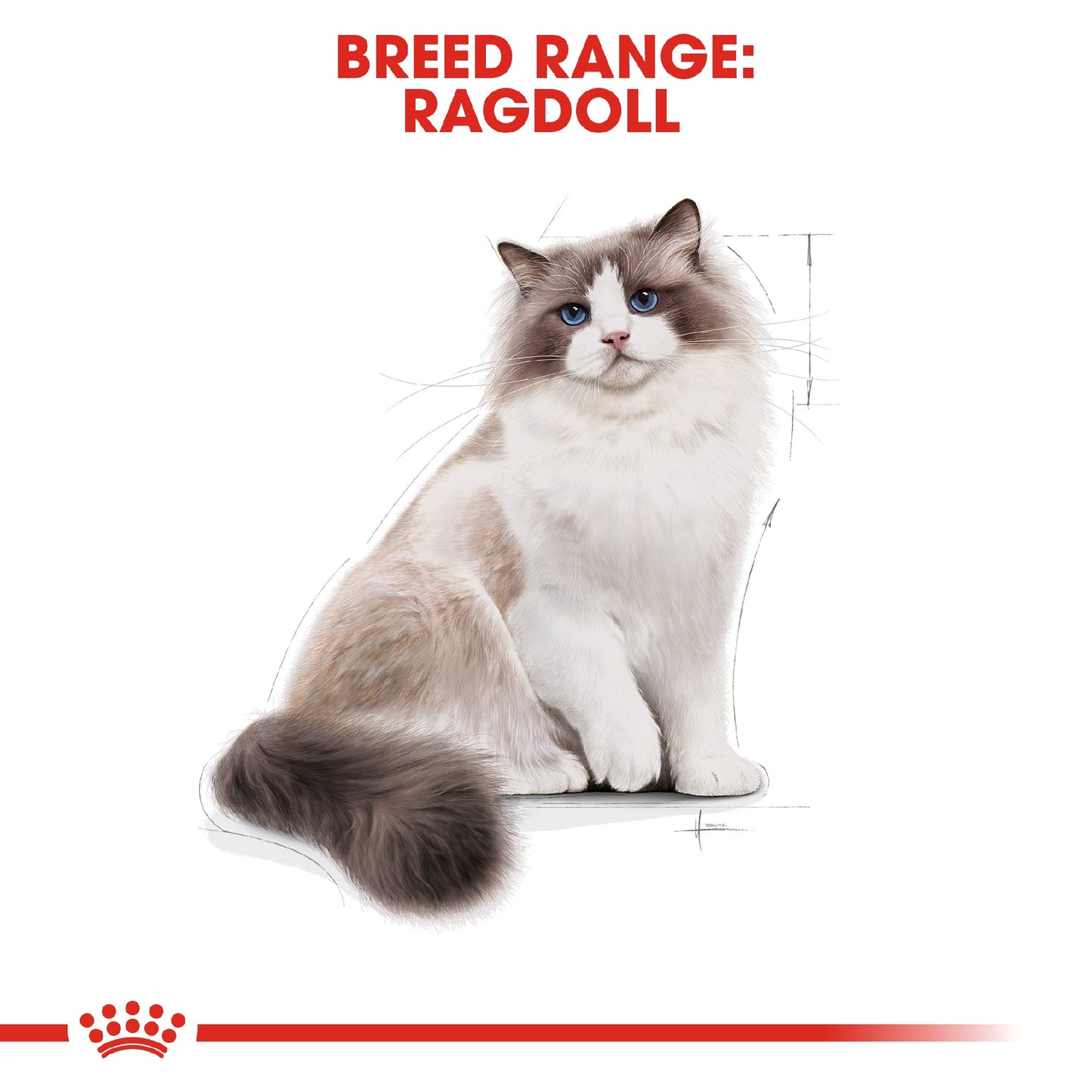 Royal Canin Cat Ragdoll 2kg