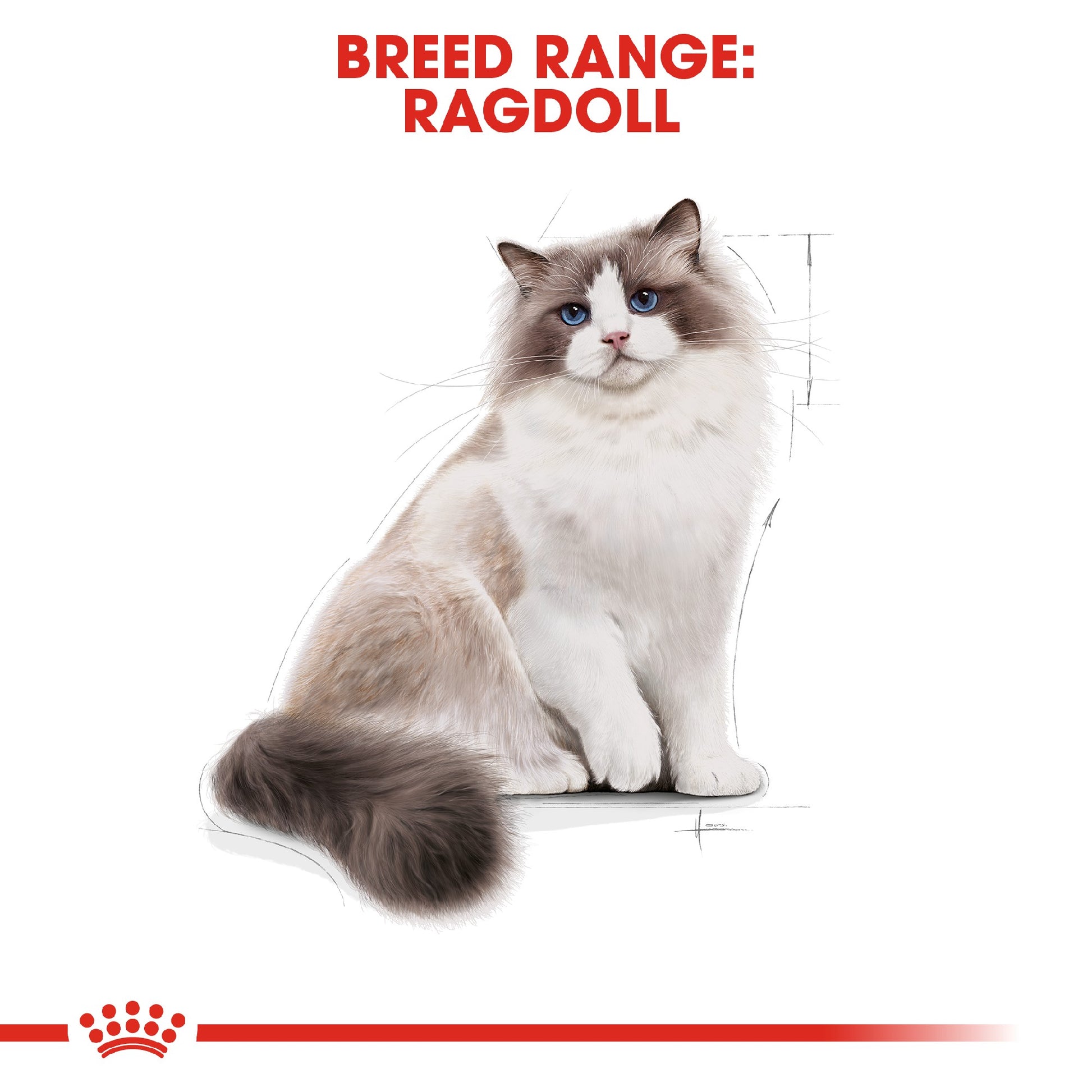 Royal Canin Cat Ragdoll 2kg