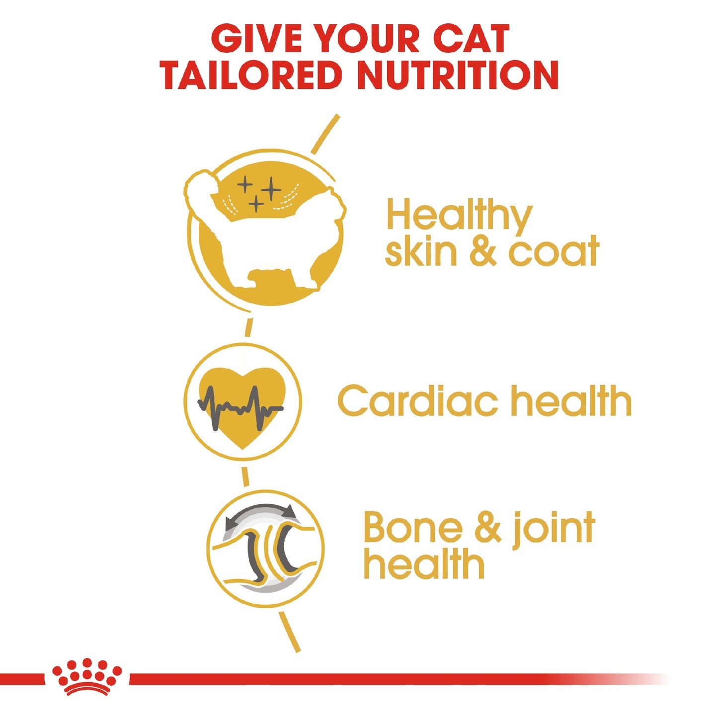 Royal Canin Cat Ragdoll 10kg