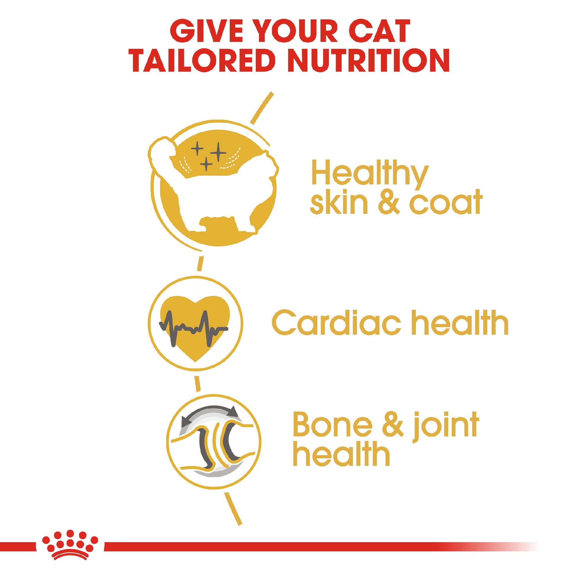 Royal Canin Cat Ragdoll 10kg