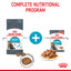 Royal Canin Cat Urinary Care 4kg