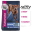 Eukanuba Dog Large Breed Senior 14kg 