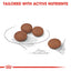Royal Canin Digestive Care Mini 3kg
