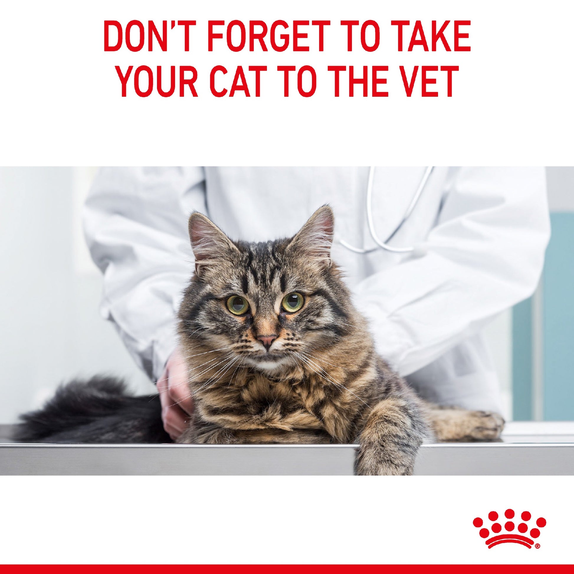 Royal Canin Cat Light Weight Care 1.5kg